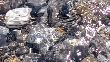 Petit objet flottant