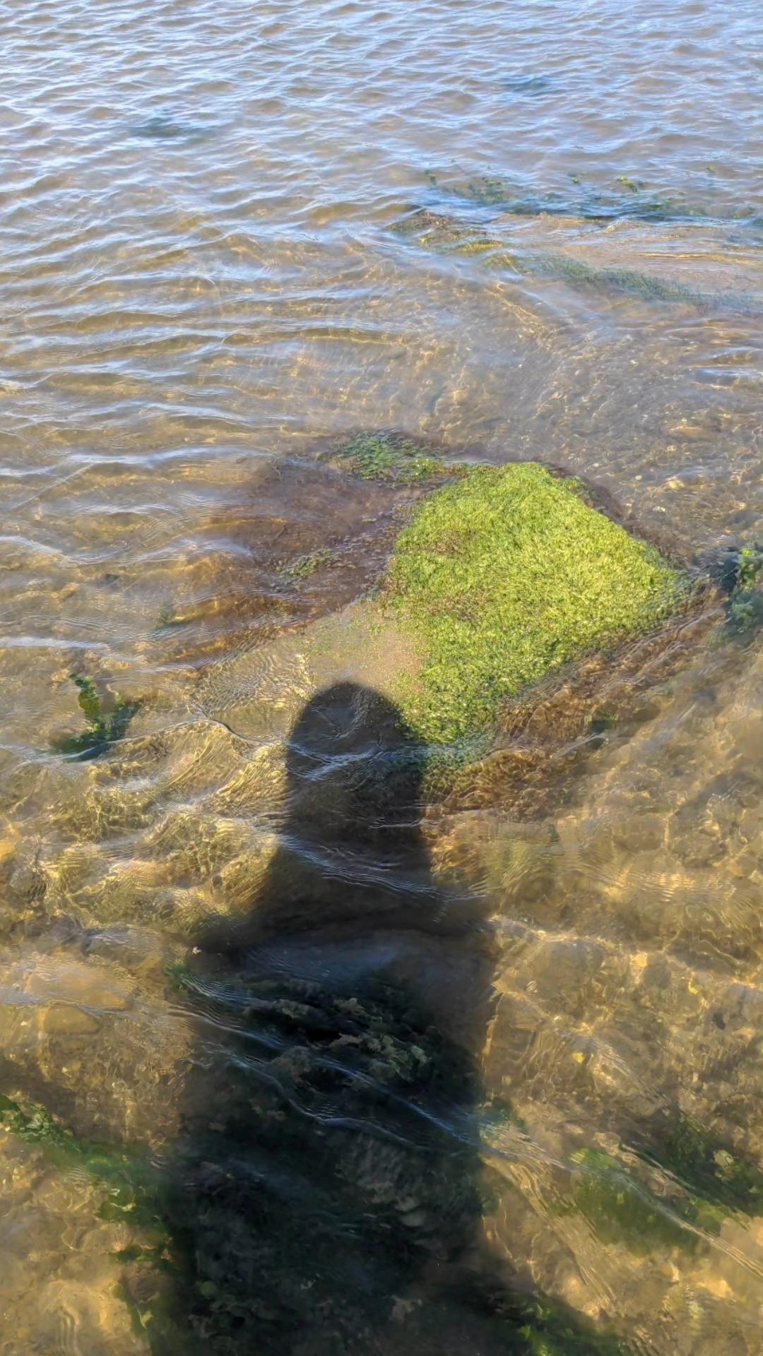 Petit objet flottant